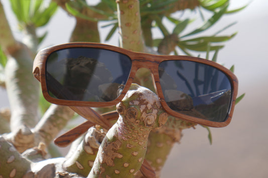 Madera curvada: MIRA-S42